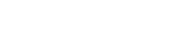 logo holistis